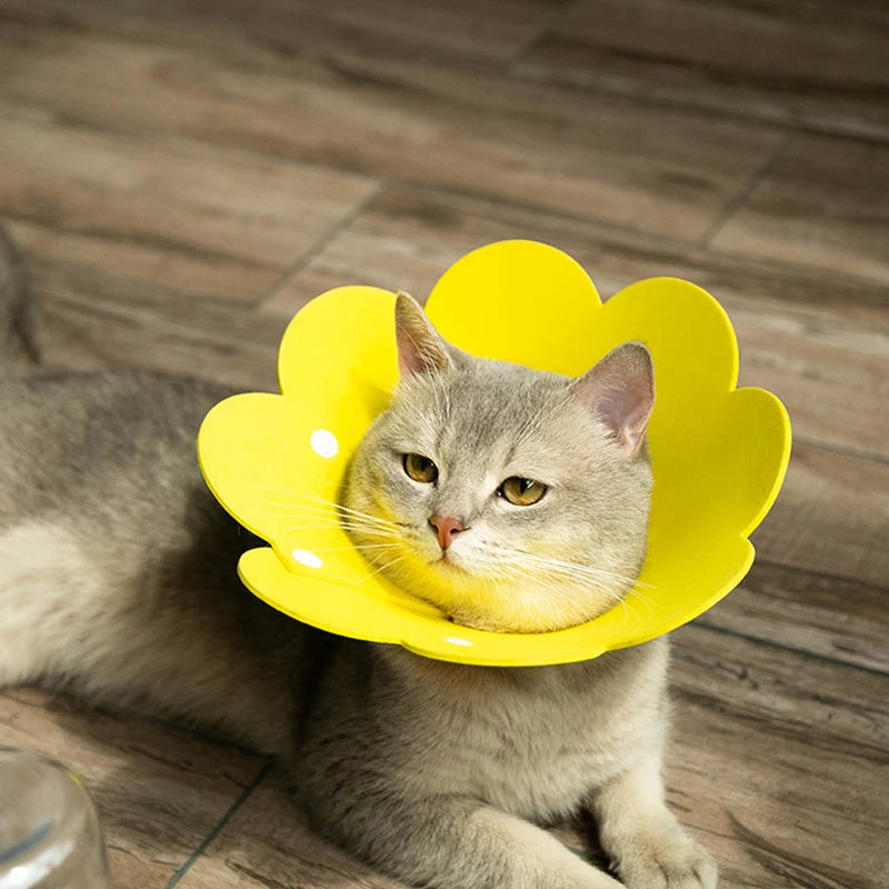 Adorable Flower Recovery Collar – Soft & Adjustable Protective Cone for Cats, Puppies, and Kittens