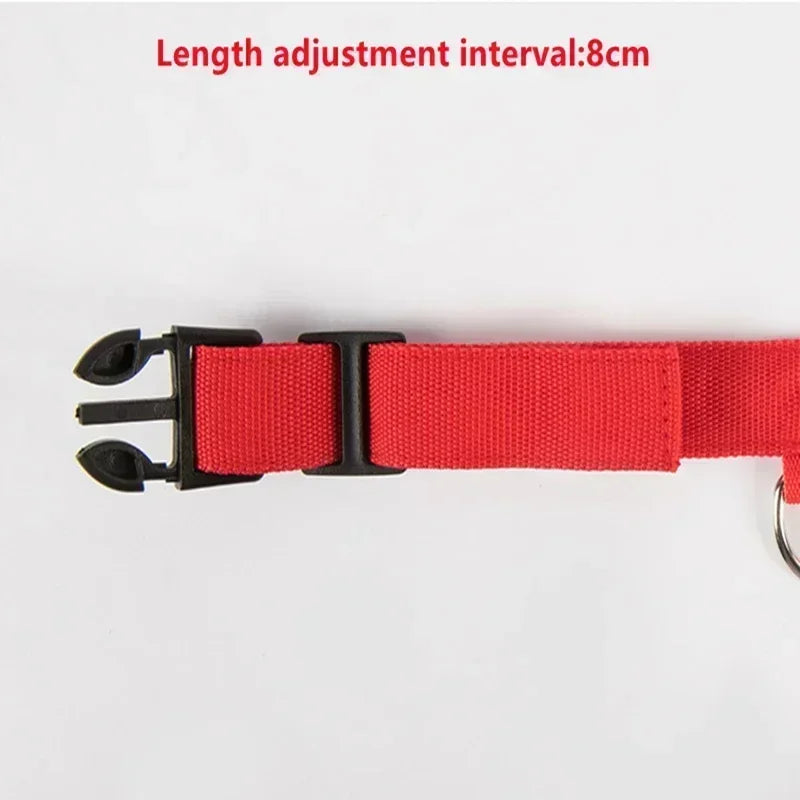 LED Glowing Dog Collar – Adjustable Rechargeable Night Safety Light