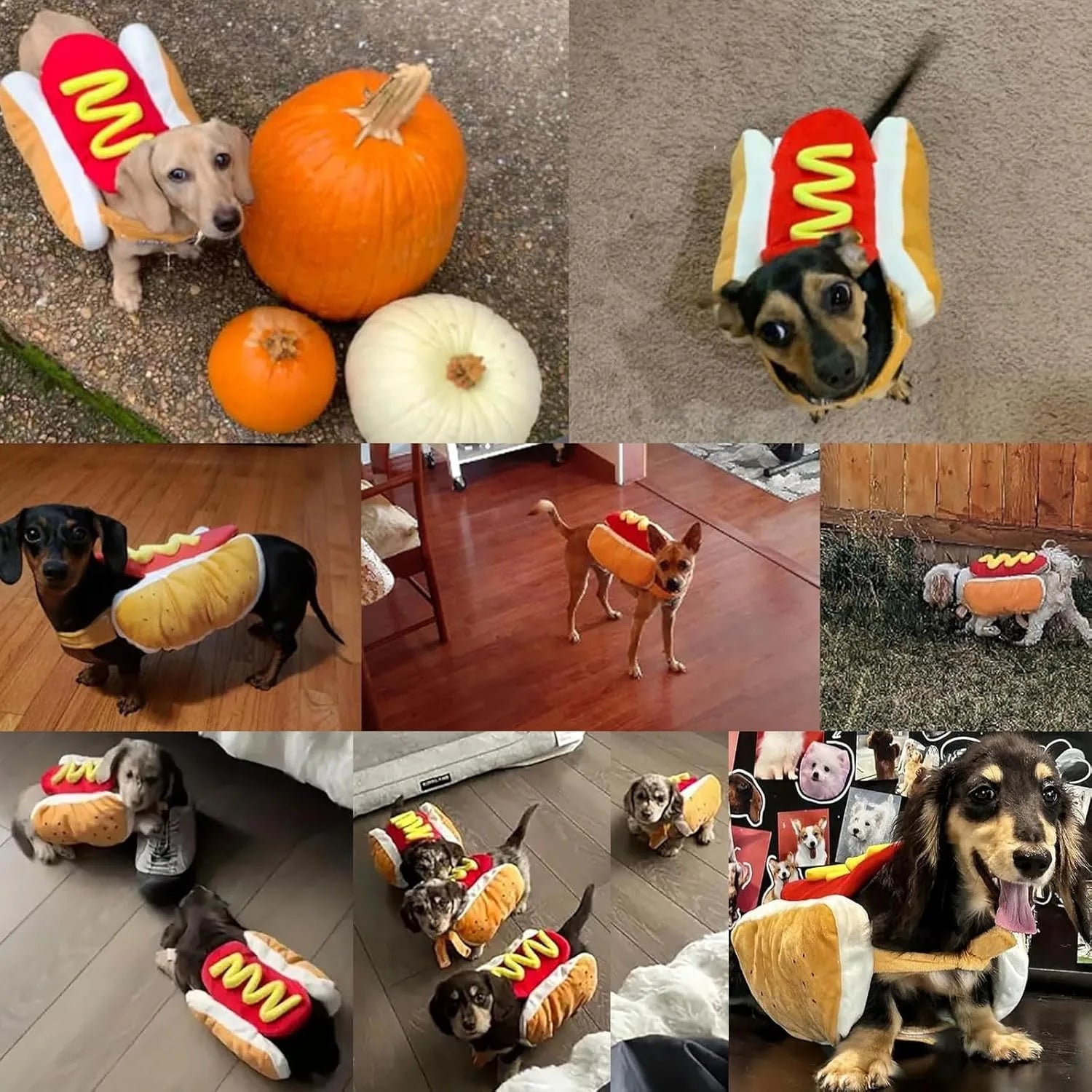 Funny Halloween Hot Dog Costume for Dogs & Cats – Adjustable Sausage Pet Outfit for Parties & Dress-Up