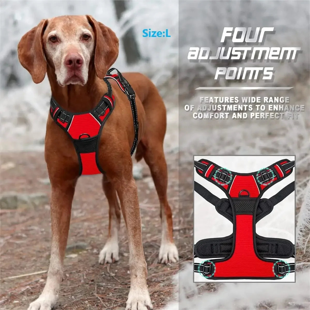 Dog Collar, Harness & Leash Set – Leather Puppy Accessories