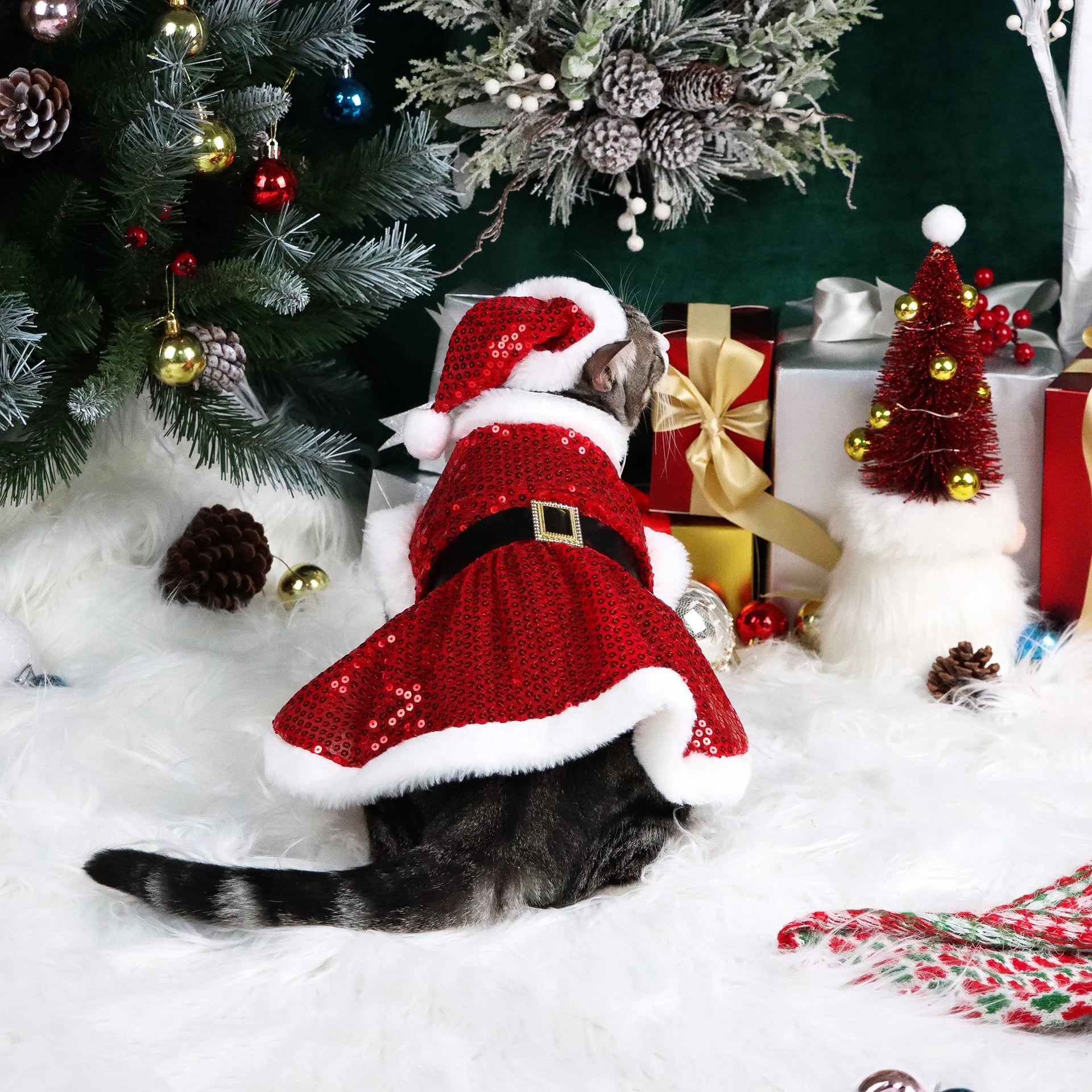 Set of 2 Christmas Pet Dresses – Velvet & Sequin Holiday Outfits for Dogs & Cats