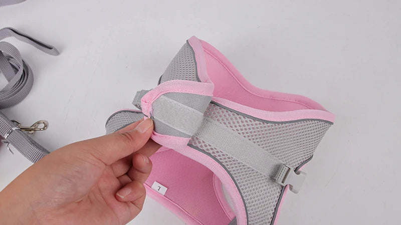 Adjustable Dog & Cat Harness with Leash – Small Breeds