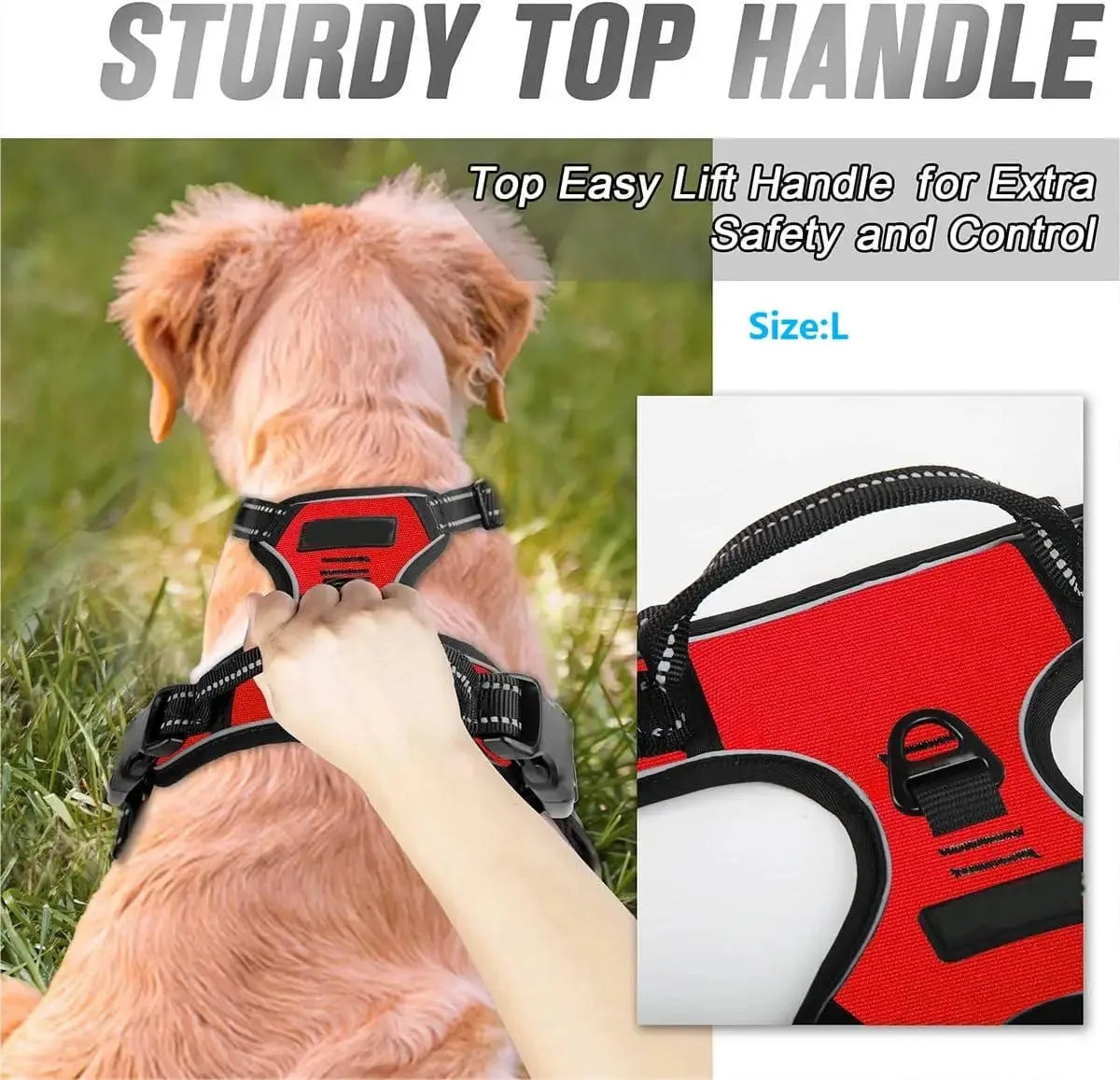 Dog Collar, Harness & Leash Set – Leather Puppy Accessories
