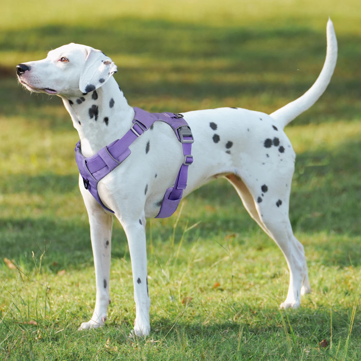H-Type No-Pull Dog Harness – Adjustable Reflective Vest