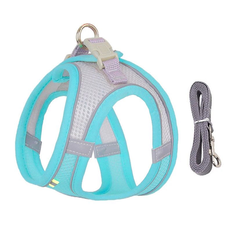 Adjustable Dog & Cat Harness with Leash – Small Breeds