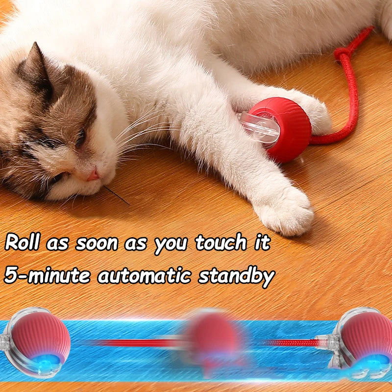 Automatic Rolling Cat & Dog Ball Toy