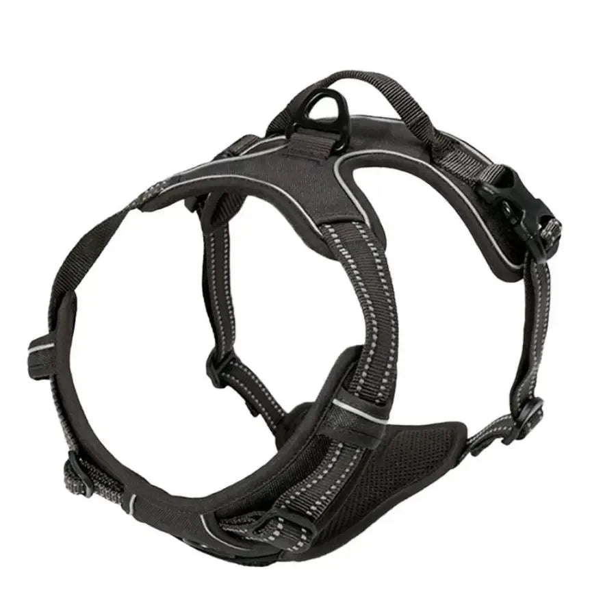 Dog Collar, Harness & Leash Set – Leather Puppy Accessories