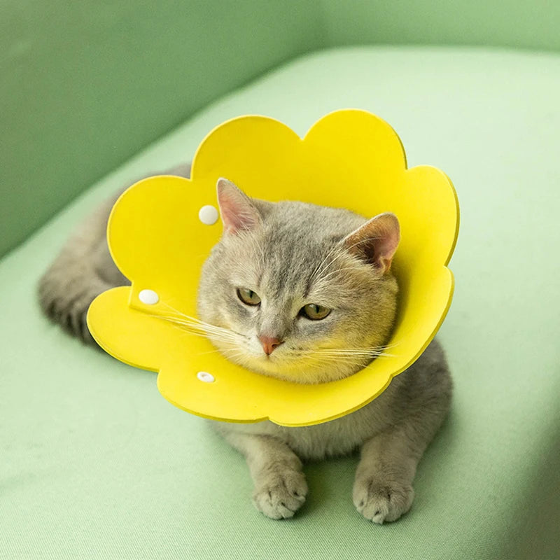 Adorable Flower Recovery Collar – Soft & Adjustable Protective Cone for Cats, Puppies, and Kittens
