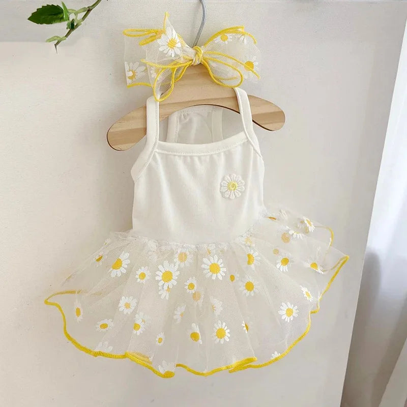 Summer Strawberry Mesh Dress – Dog & Cat Pet Clothing
