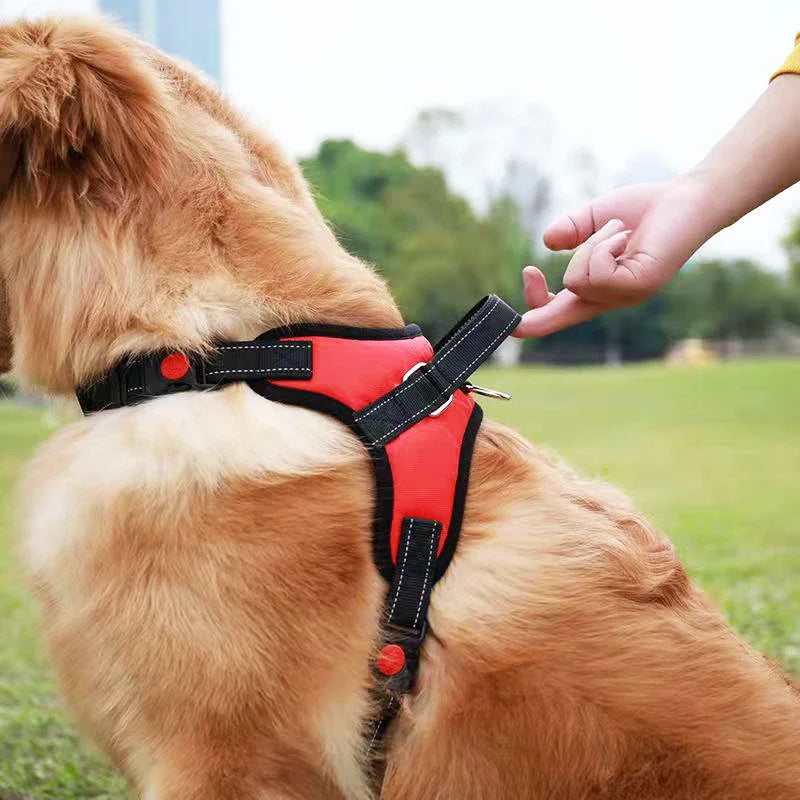 Reflective Saddle Dog Harness – No-Pull Adjustable