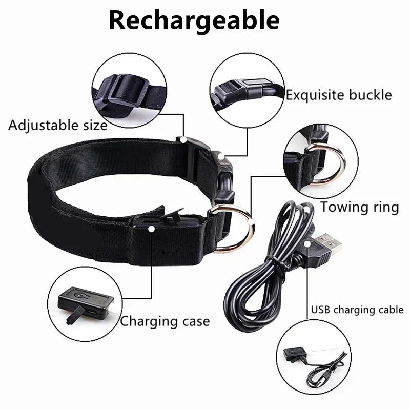 LED Glowing Dog Collar – Adjustable Rechargeable Night Safety Light